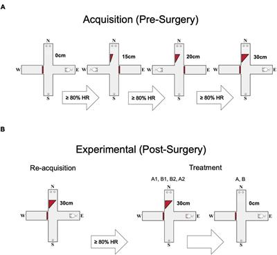 Lateral Habenula Inactivation Alters Willingness to Exert Physical Effort Using a Maze Task in Rats